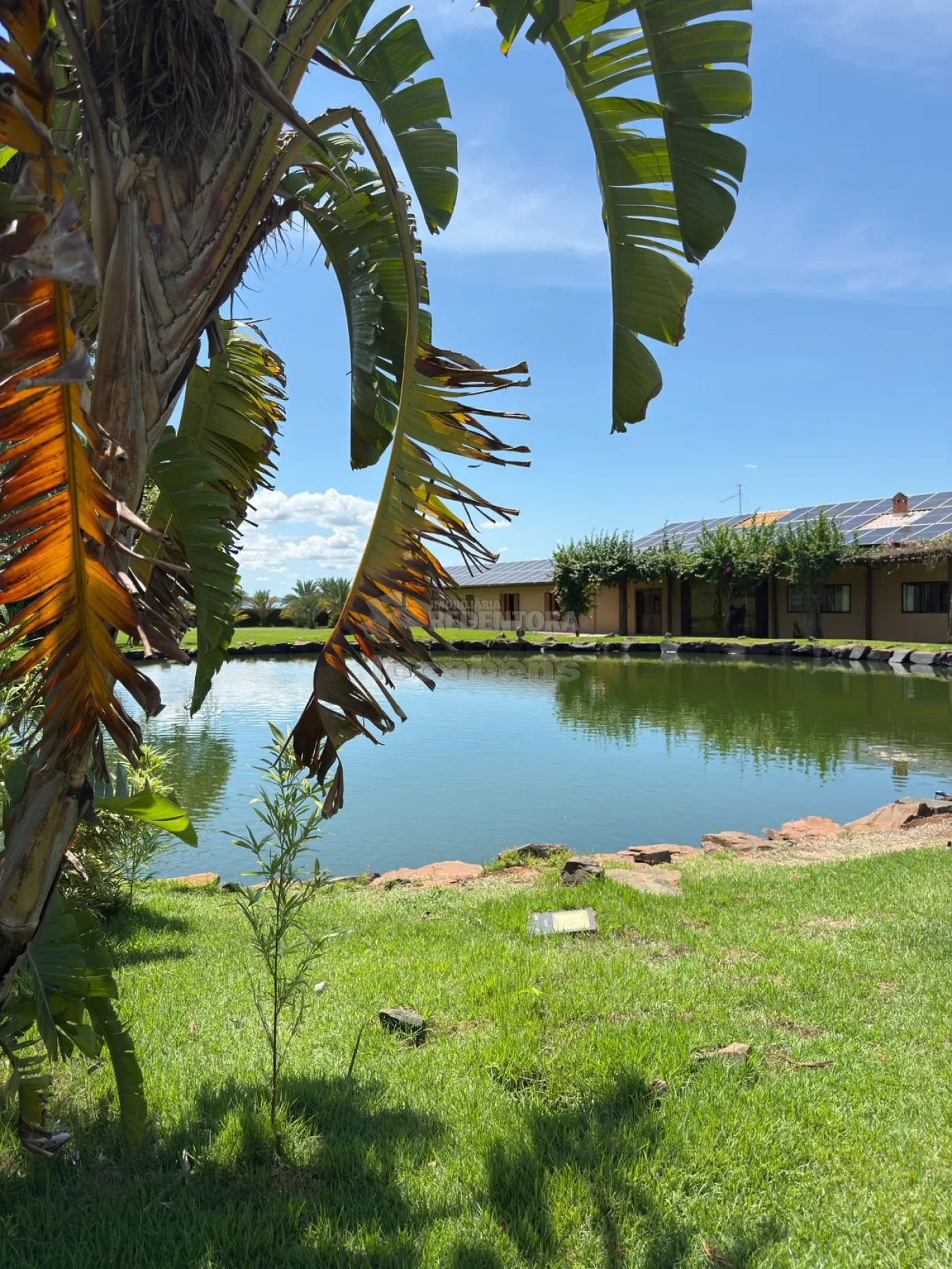 Sítio, 3 quartos, 6 hectares - Foto 25