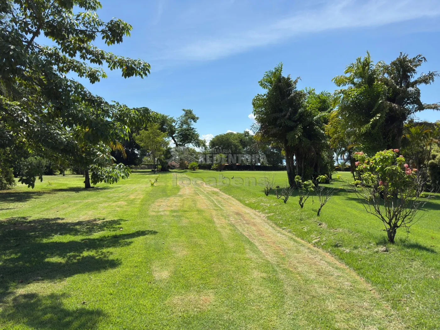 Sítio, 3 quartos, 6 hectares - Foto 27