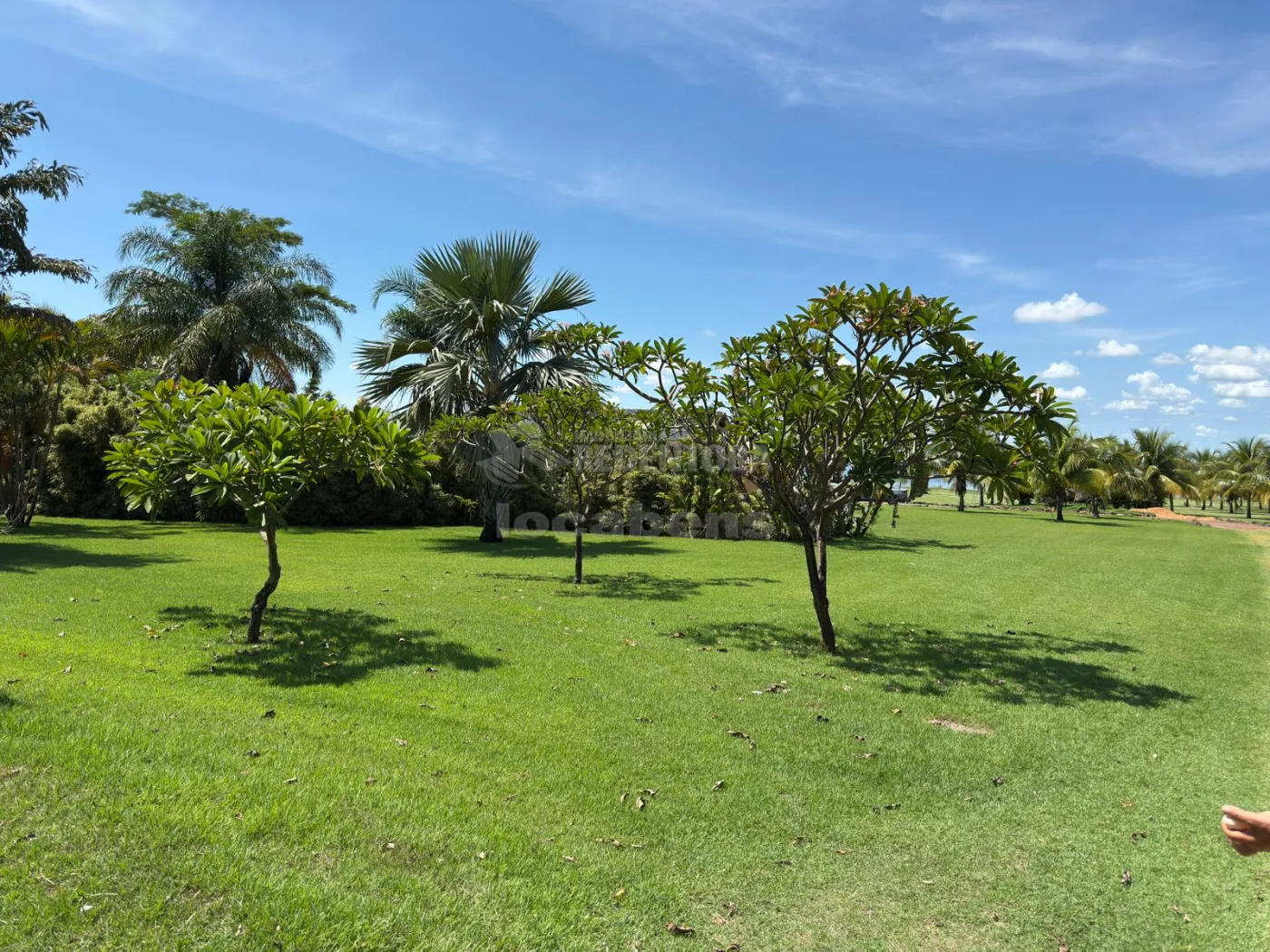 Sítio, 3 quartos, 6 hectares - Foto 29