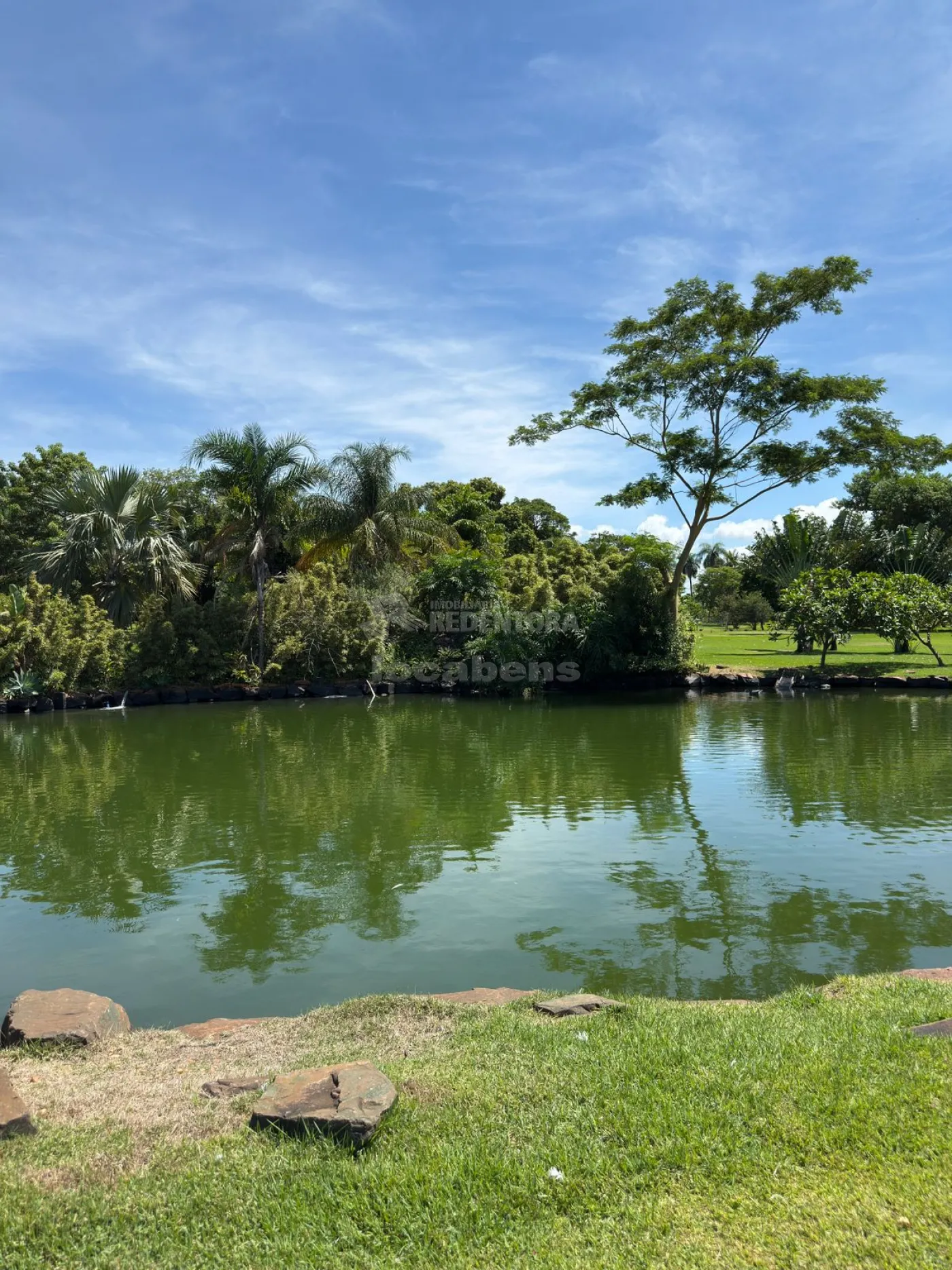 Sítio, 3 quartos, 6 hectares - Foto 31