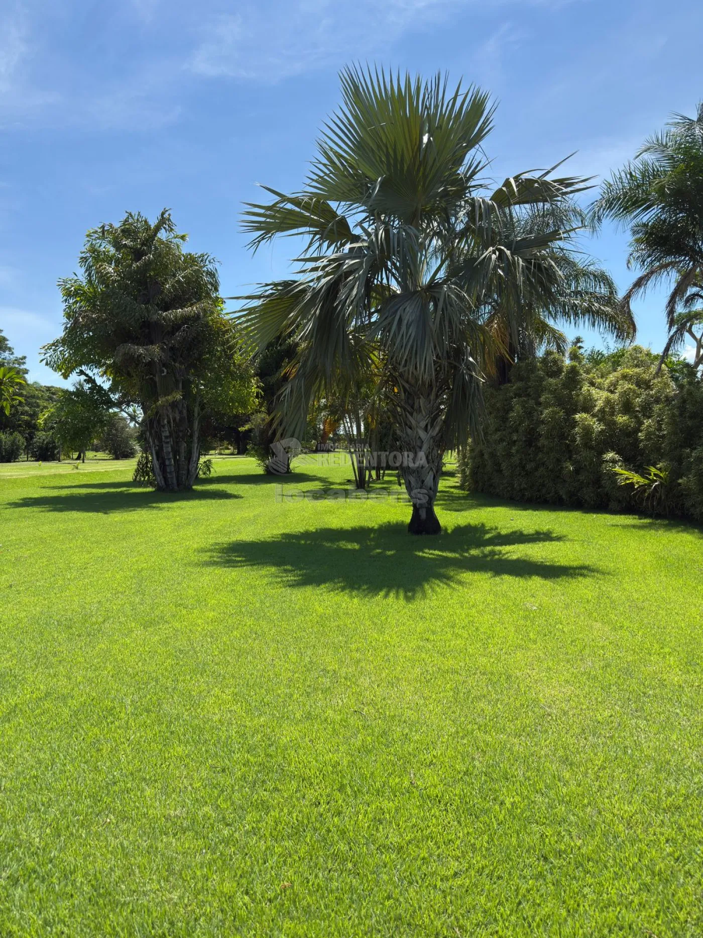 Sítio, 3 quartos, 6 hectares - Foto 32