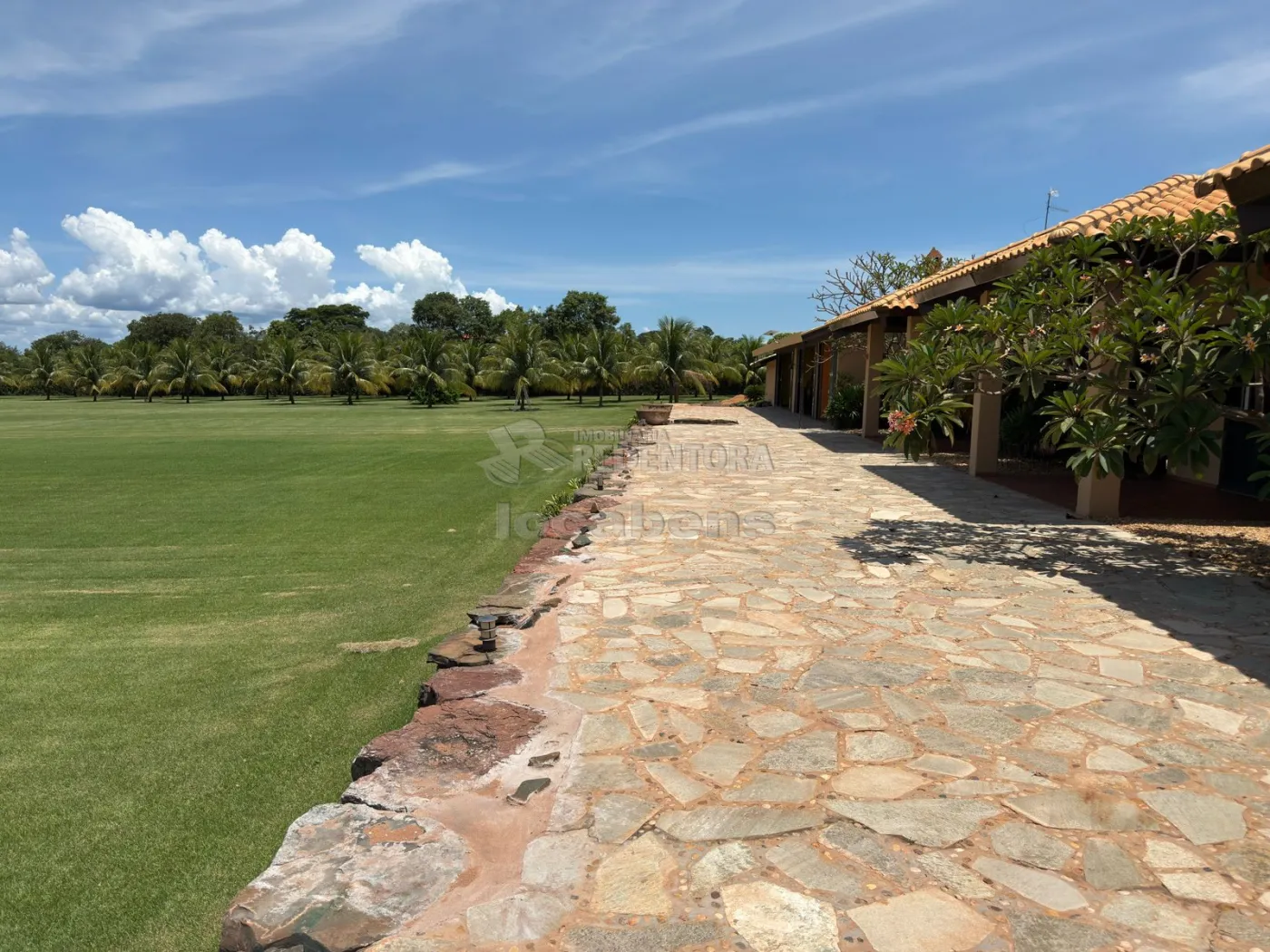 Sítio, 3 quartos, 6 hectares - Foto 60