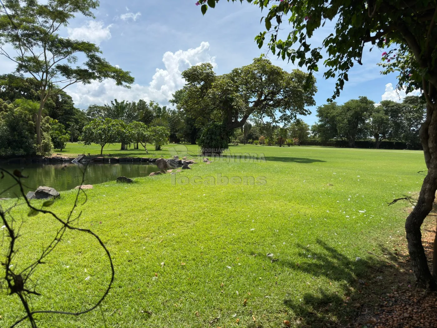 Sítio, 3 quartos, 6 hectares - Foto 16