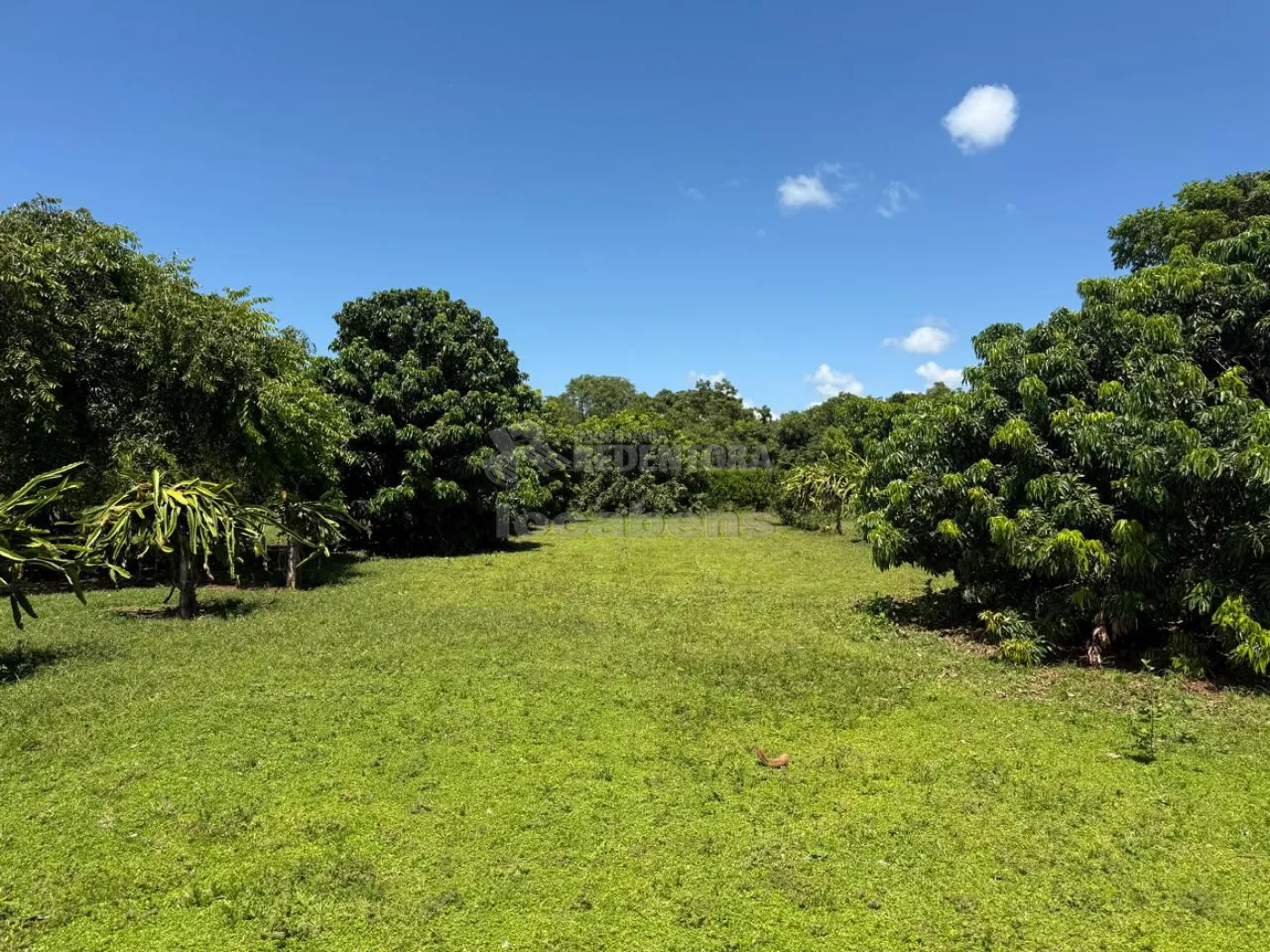 Sítio, 3 quartos, 6 hectares - Foto 26