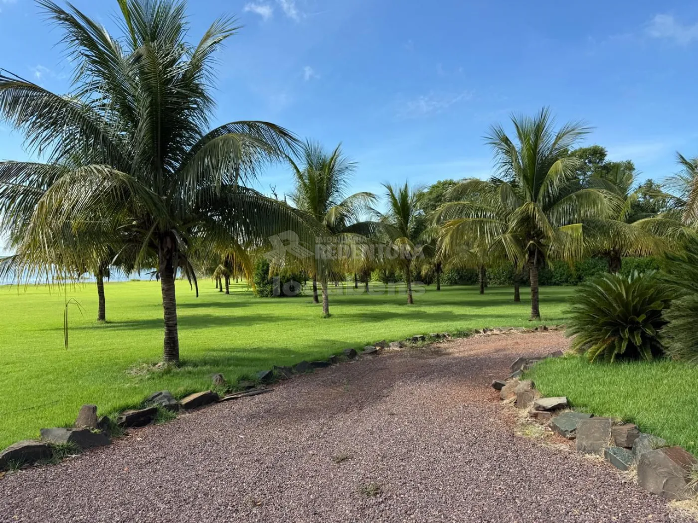 Sítio, 3 quartos, 6 hectares - Foto 118