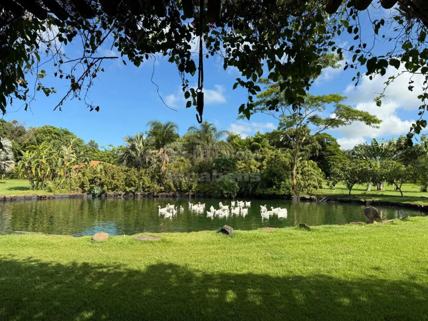 Sítio, 3 quartos, 6 hectares - Foto 119