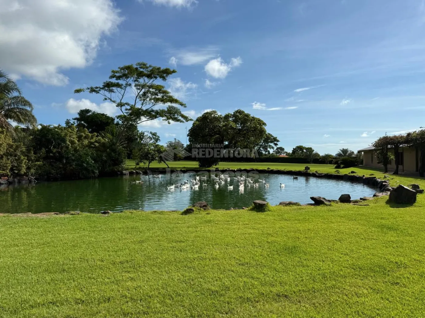 Sítio, 3 quartos, 6 hectares - Foto 120