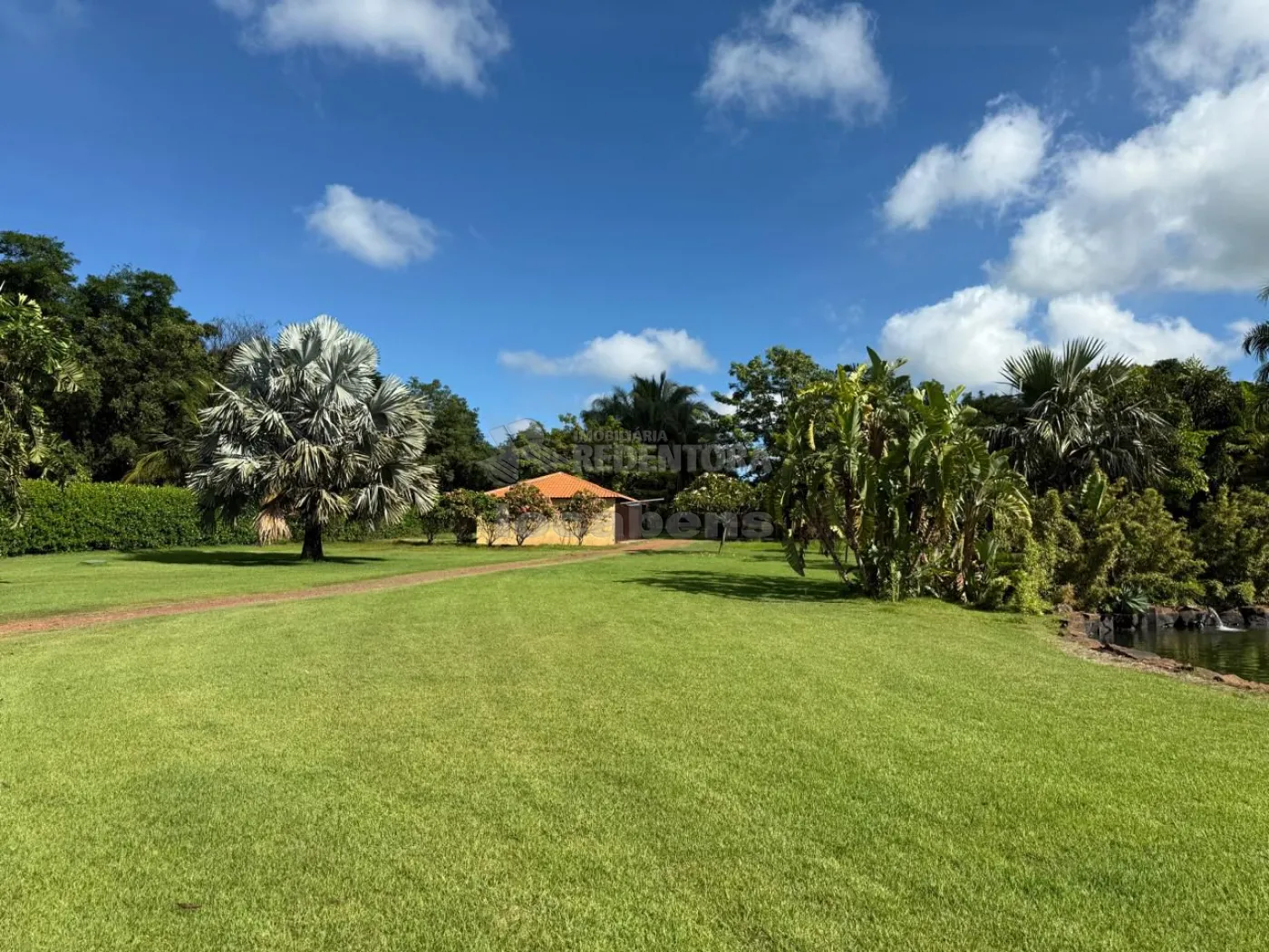 Sítio, 3 quartos, 6 hectares - Foto 126