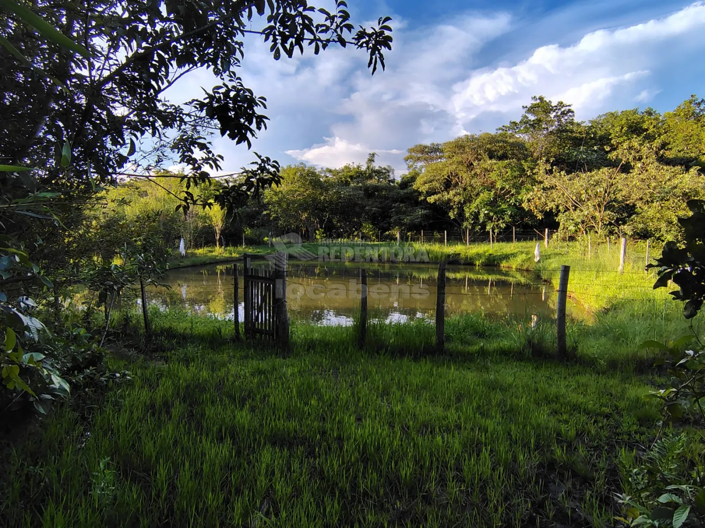 Comprar Rural / S&iacute;tio em Nhandeara R$ 950.000,00 - Foto 2