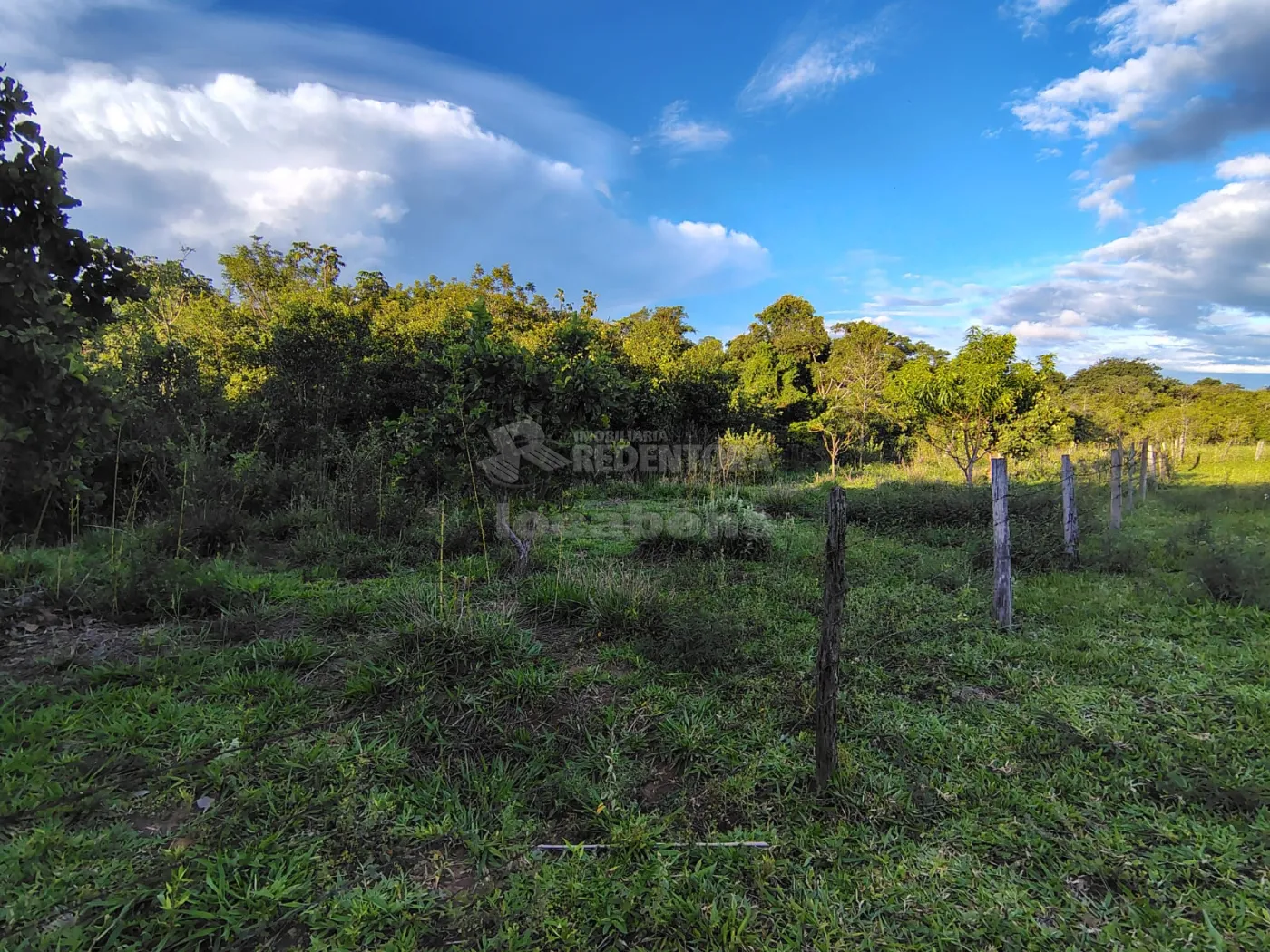 Comprar Rural / S&iacute;tio em Nhandeara R$ 950.000,00 - Foto 3