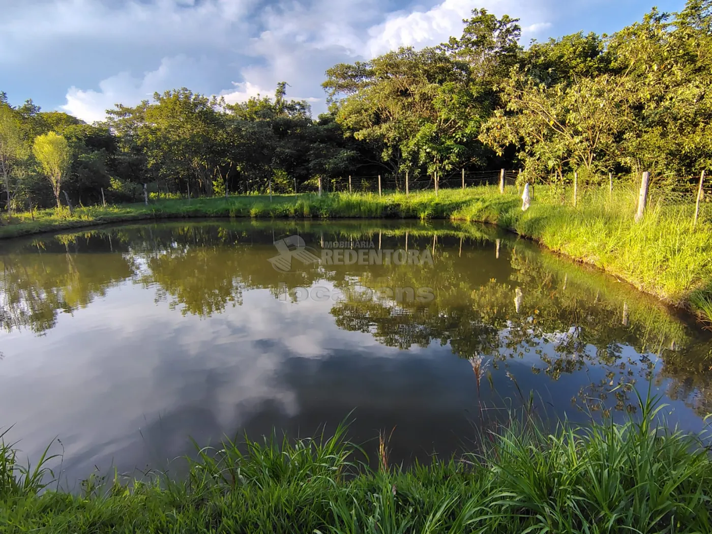 Comprar Rural / S&iacute;tio em Nhandeara R$ 950.000,00 - Foto 4