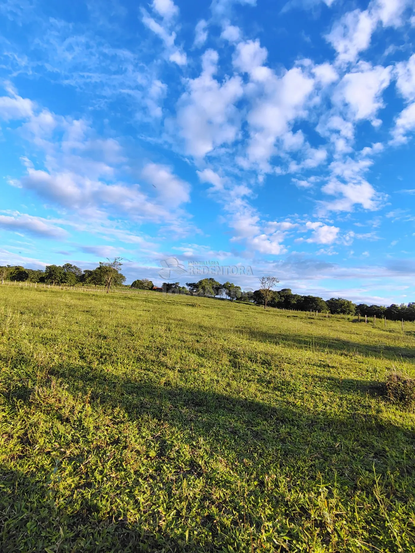 Comprar Rural / S&iacute;tio em Nhandeara R$ 950.000,00 - Foto 9