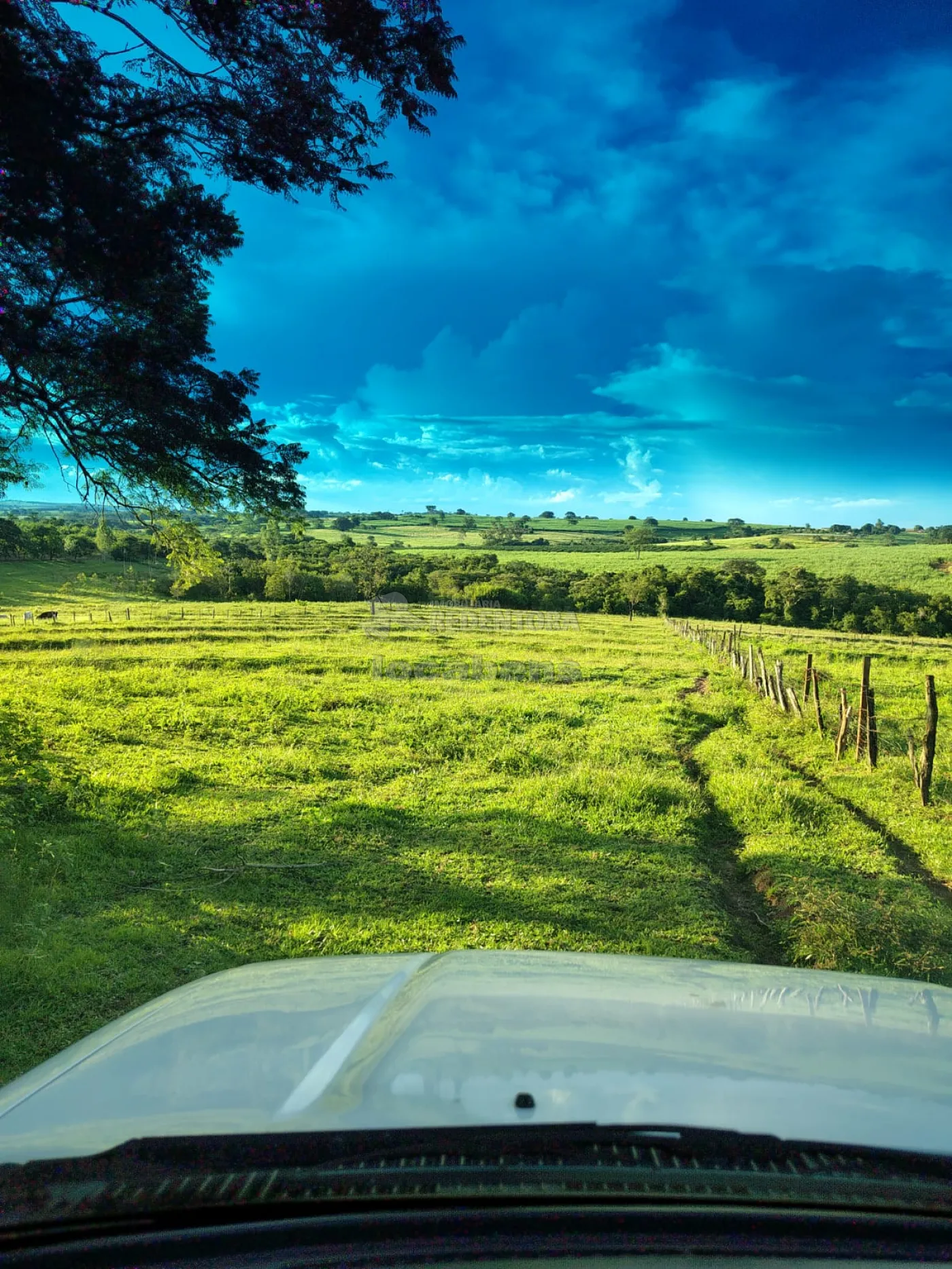 Comprar Rural / S&iacute;tio em Nhandeara R$ 950.000,00 - Foto 11