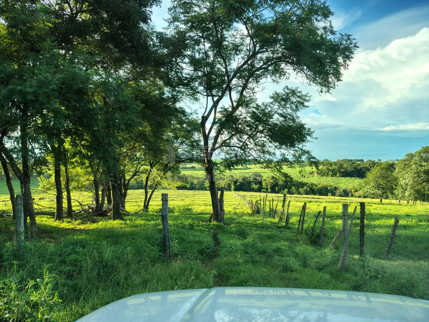Comprar Rural / S&iacute;tio em Nhandeara R$ 950.000,00 - Foto 16