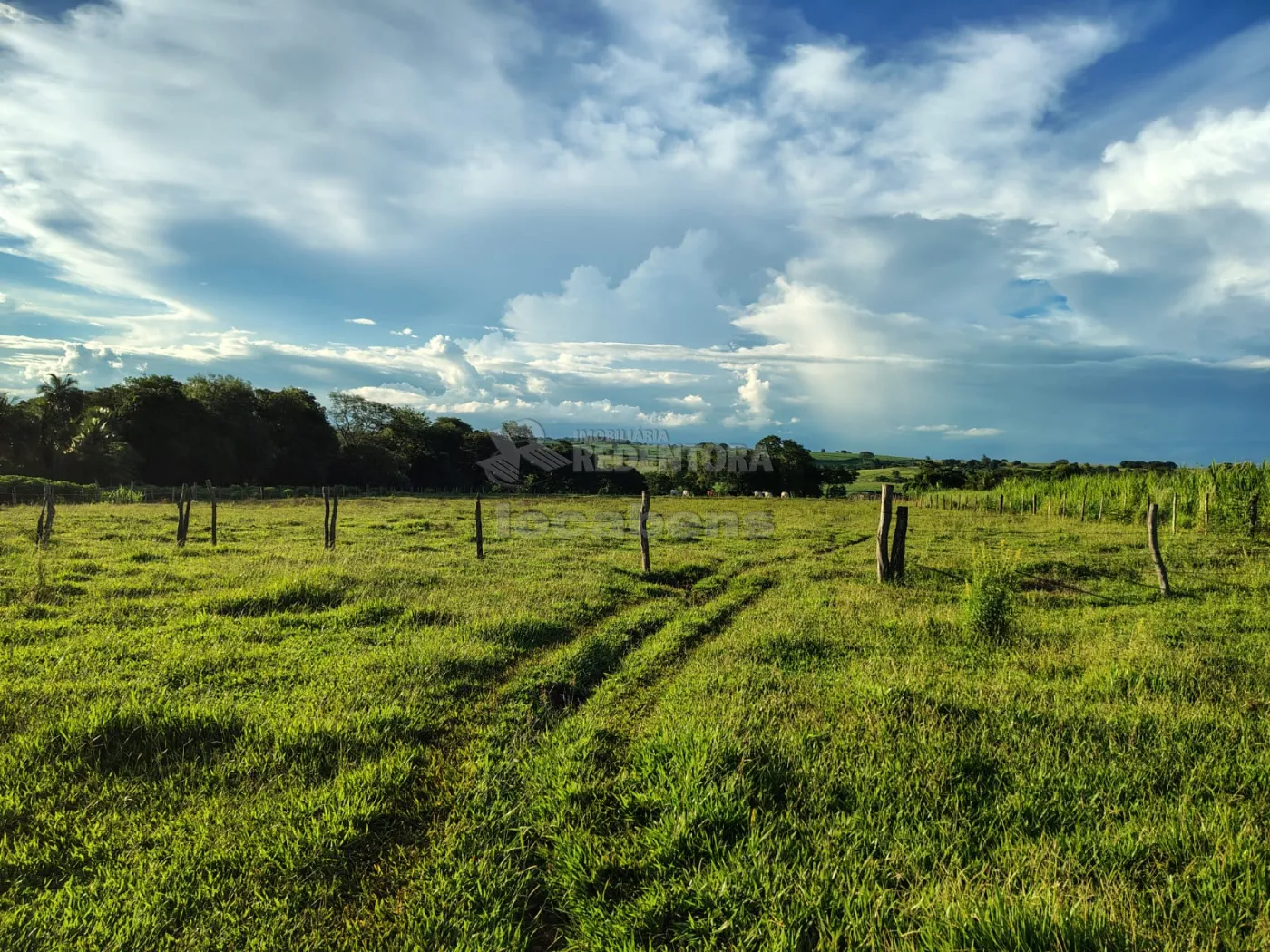Comprar Rural / S&iacute;tio em Nhandeara R$ 950.000,00 - Foto 18