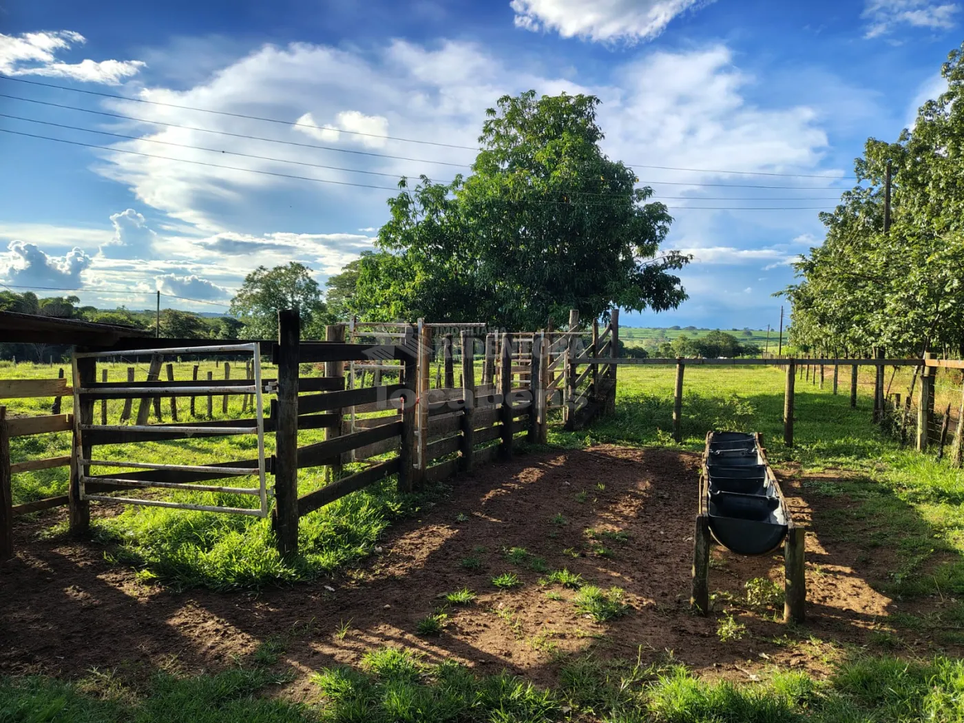 Comprar Rural / S&iacute;tio em Nhandeara R$ 950.000,00 - Foto 19