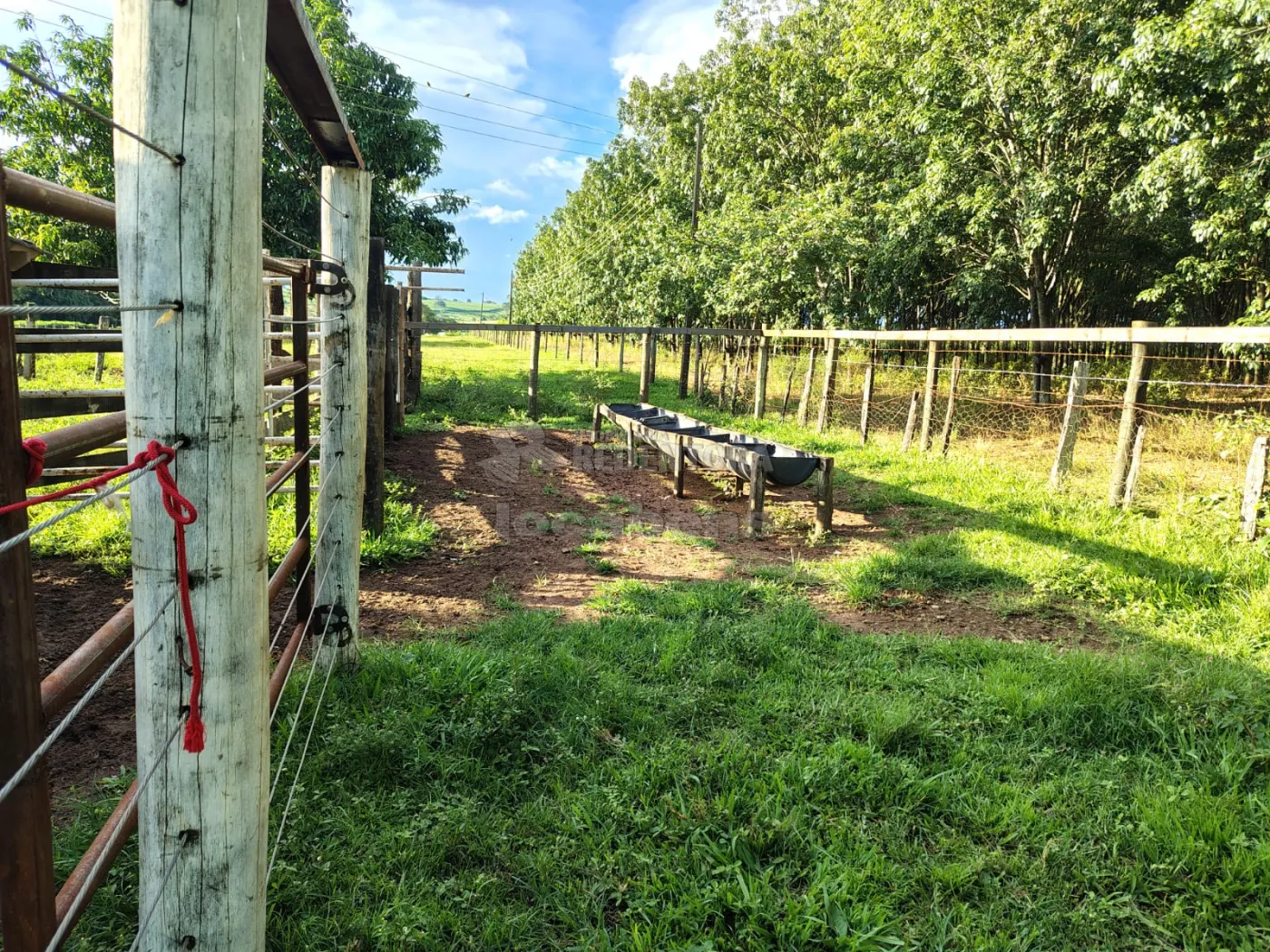 Comprar Rural / S&iacute;tio em Nhandeara R$ 950.000,00 - Foto 22