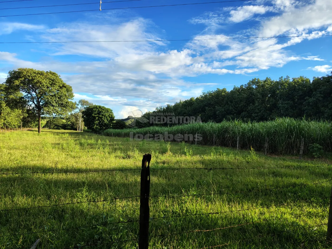 Comprar Rural / S&iacute;tio em Nhandeara R$ 950.000,00 - Foto 24