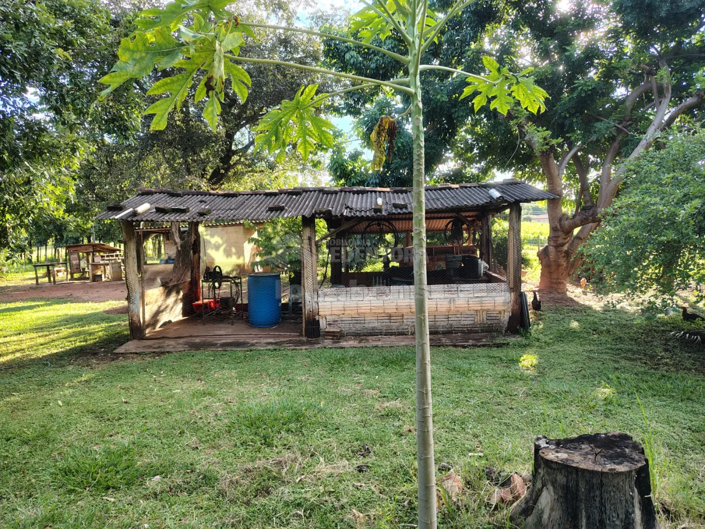 Comprar Rural / S&iacute;tio em Nhandeara R$ 950.000,00 - Foto 25