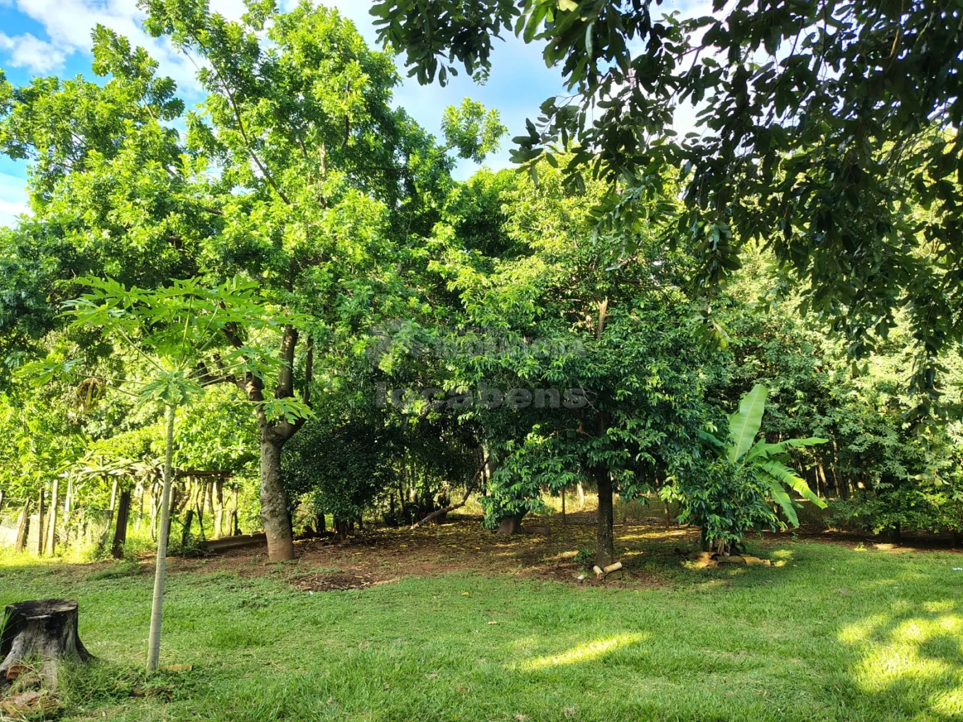Comprar Rural / S&iacute;tio em Nhandeara R$ 950.000,00 - Foto 27