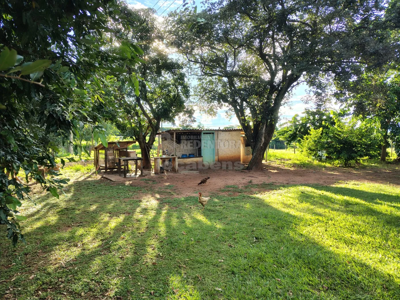 Comprar Rural / S&iacute;tio em Nhandeara R$ 950.000,00 - Foto 32