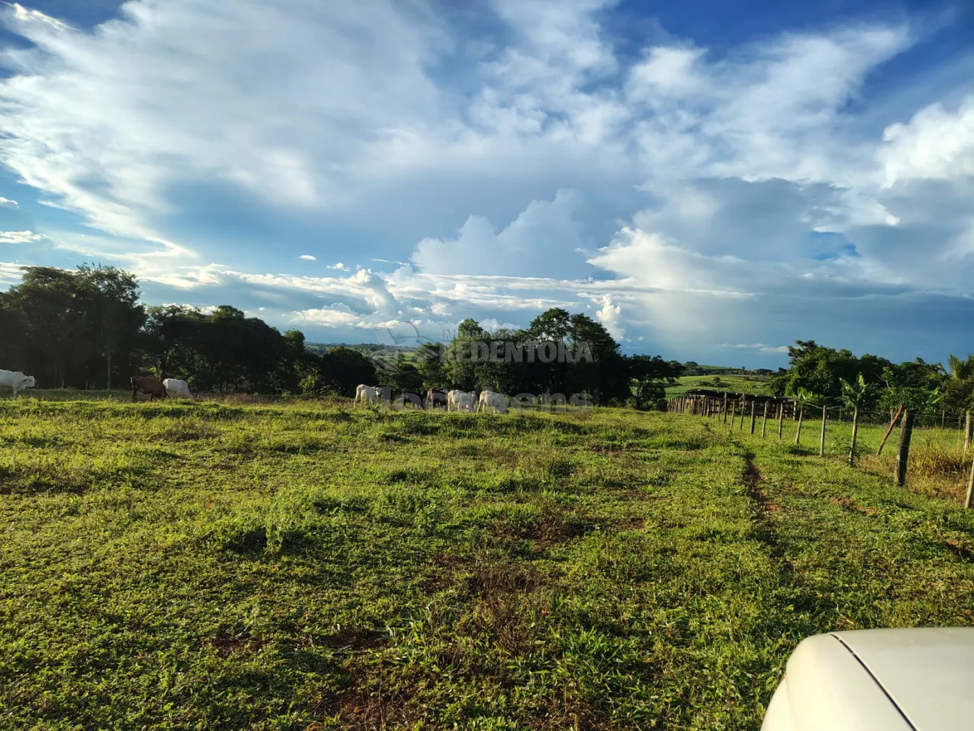 Comprar Rural / S&iacute;tio em Nhandeara R$ 950.000,00 - Foto 33