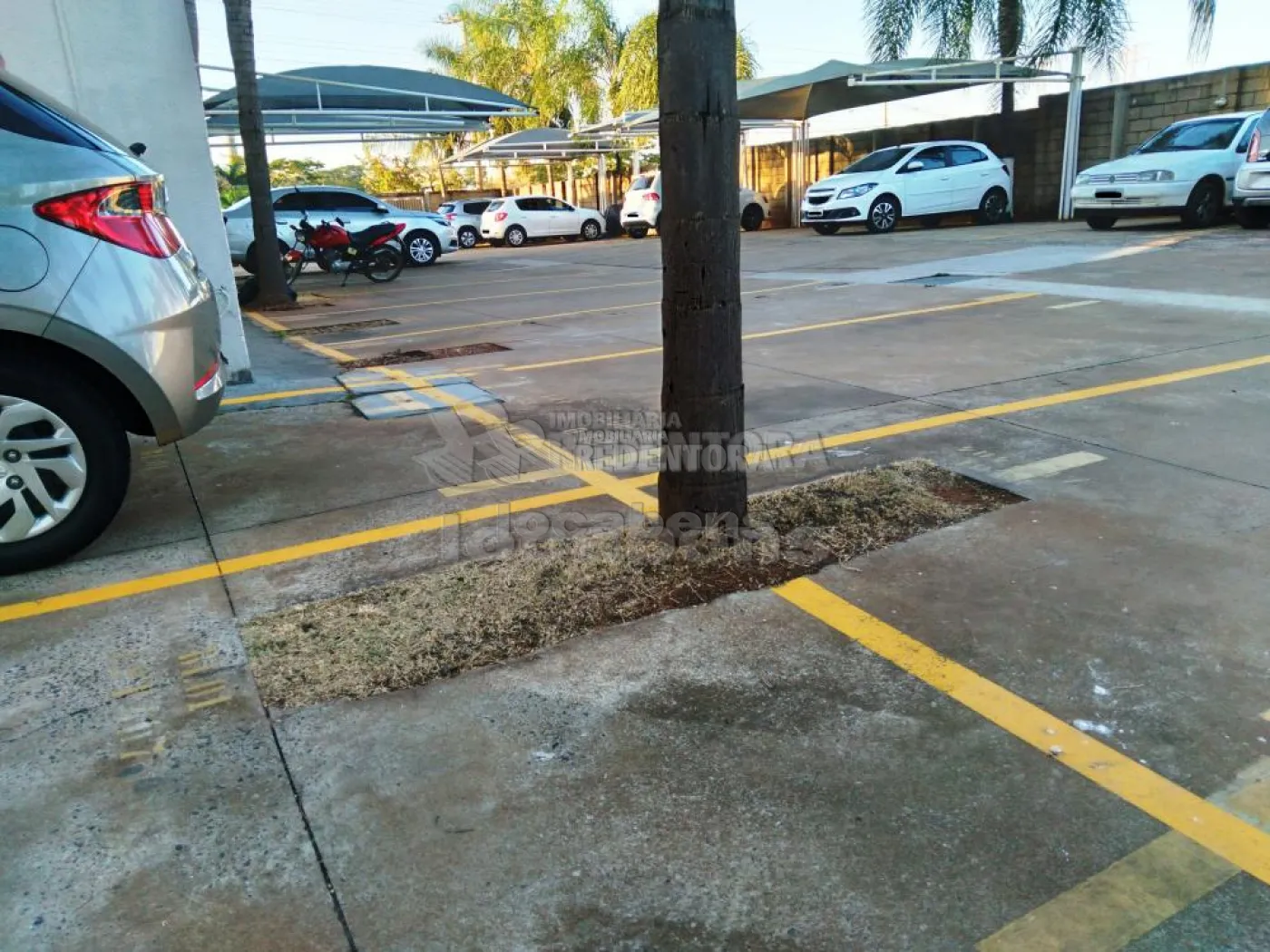 Comprar Apartamento / Padr&atilde;o em S&atilde;o Jos&eacute; do Rio Preto R$ 270.000,00 - Foto 3