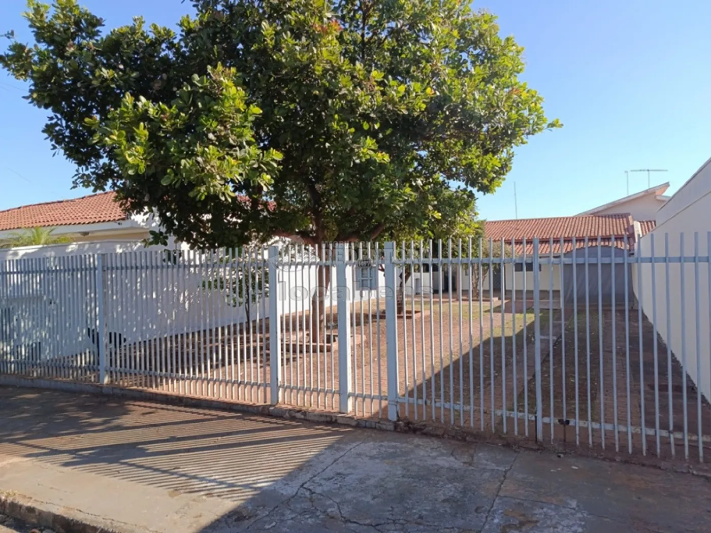 Alugar Casa / Padr&atilde;o em S&atilde;o Jos&eacute; do Rio Preto R$ 1.500,00 - Foto 1