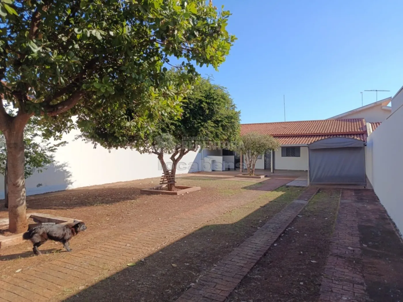 Alugar Casa / Padr&atilde;o em S&atilde;o Jos&eacute; do Rio Preto R$ 1.500,00 - Foto 2