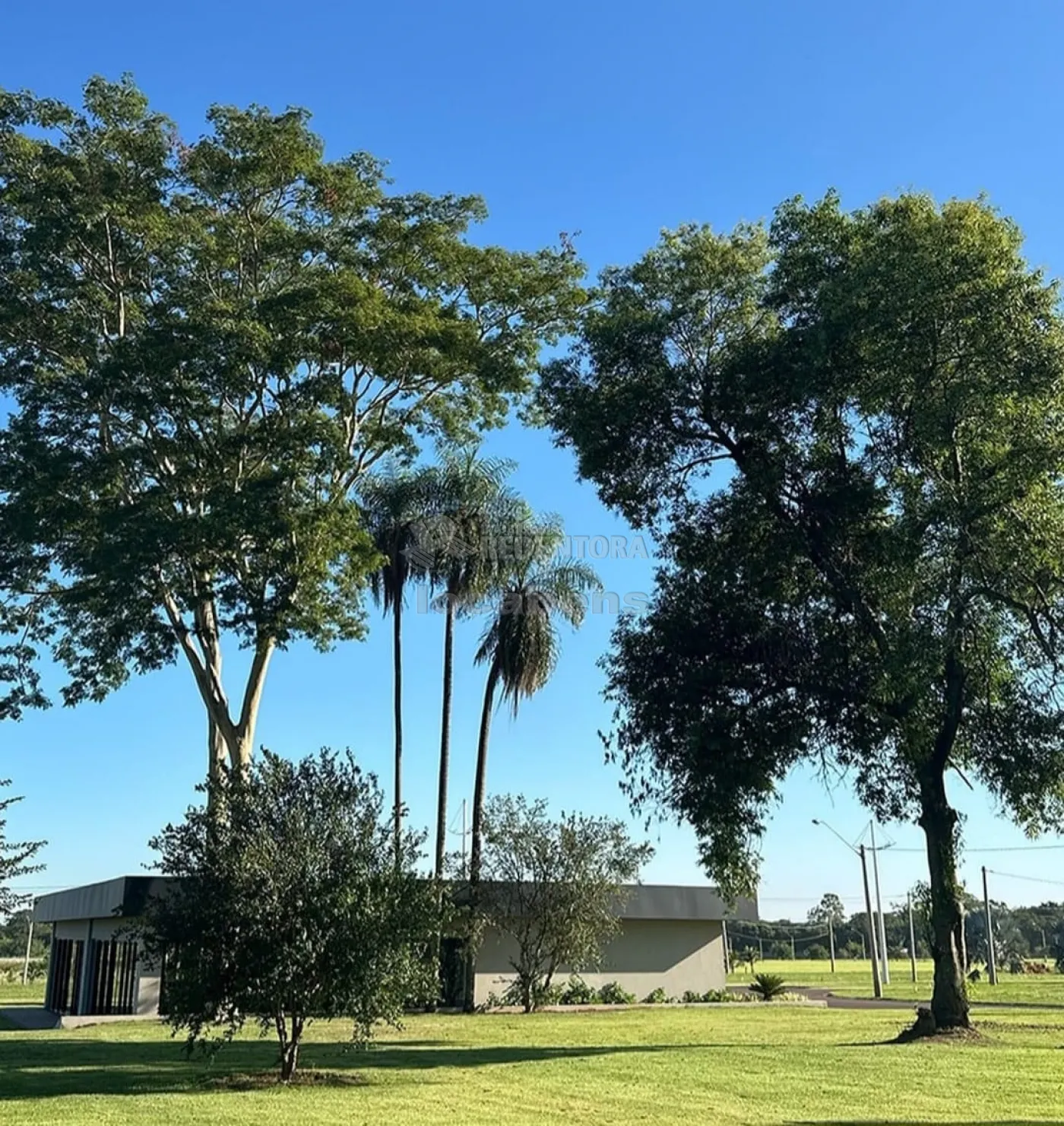 Comprar Terreno / Condom&iacute;nio em Barbosa R$ 340.000,00 - Foto 4