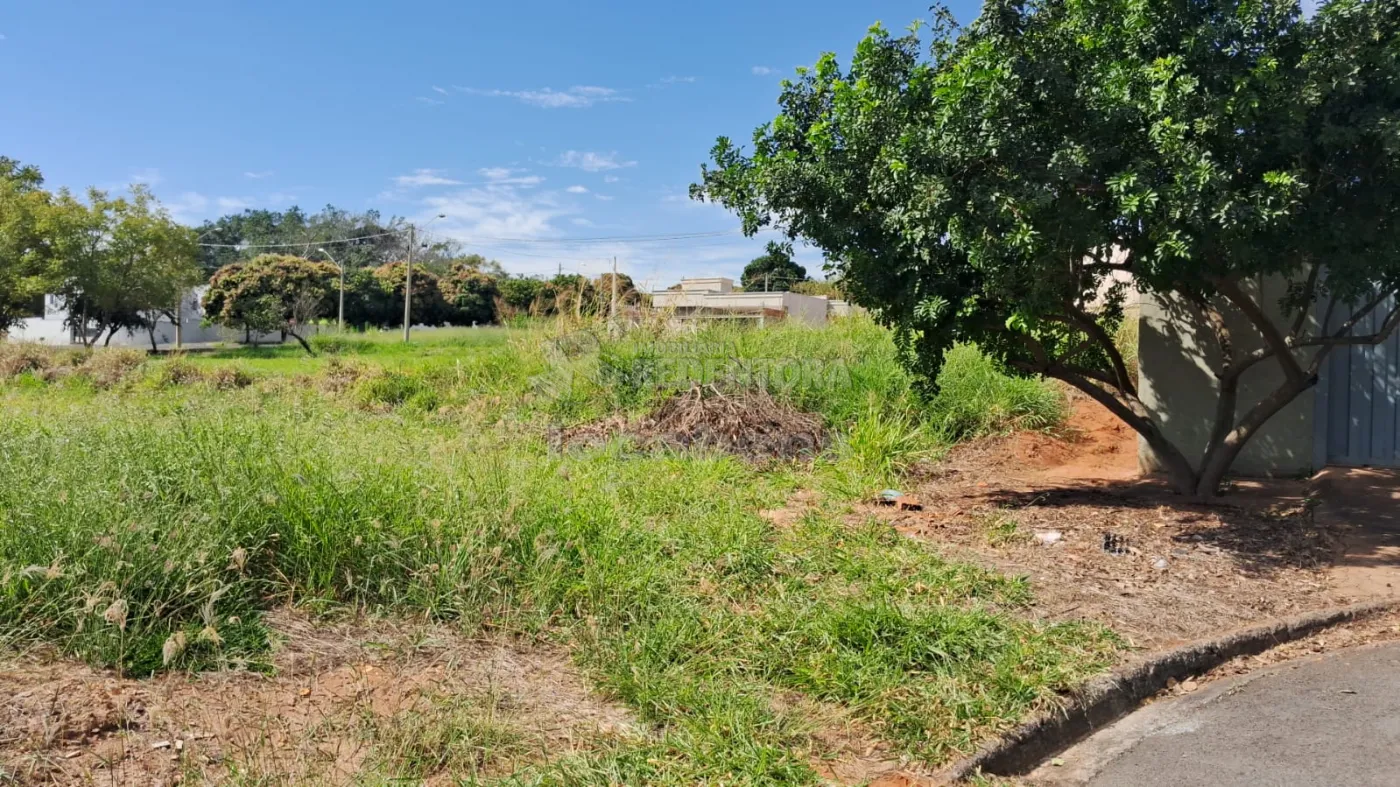 Comprar Terreno / Padr&atilde;o em Bady Bassitt R$ 269.000,00 - Foto 7