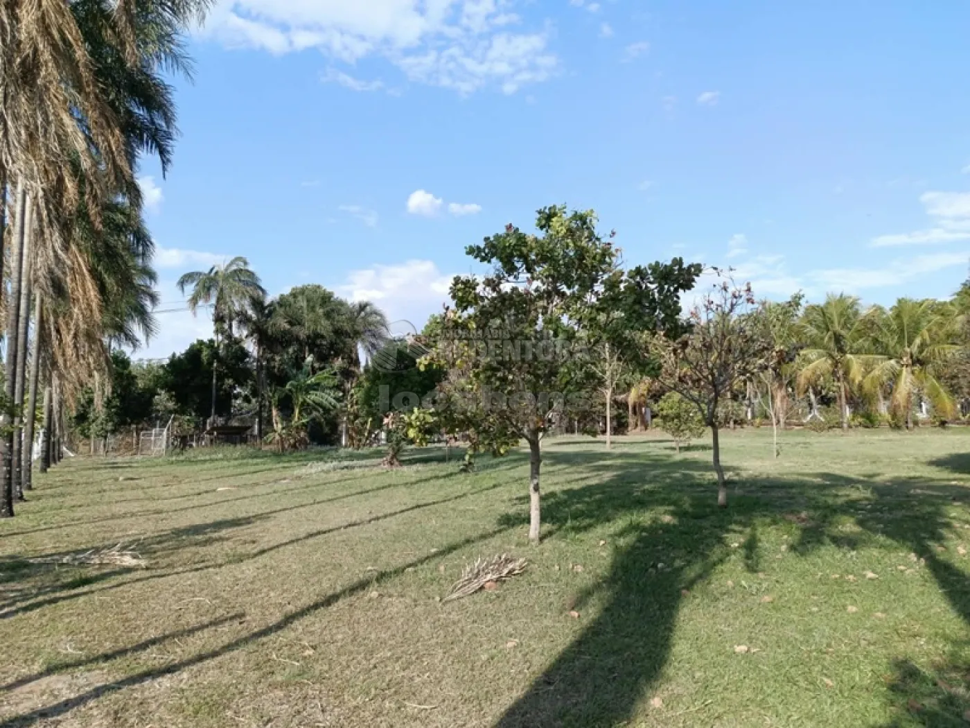 Alugar Casa / Condom&iacute;nio em S&atilde;o Jos&eacute; do Rio Preto R$ 10.000,00 - Foto 13