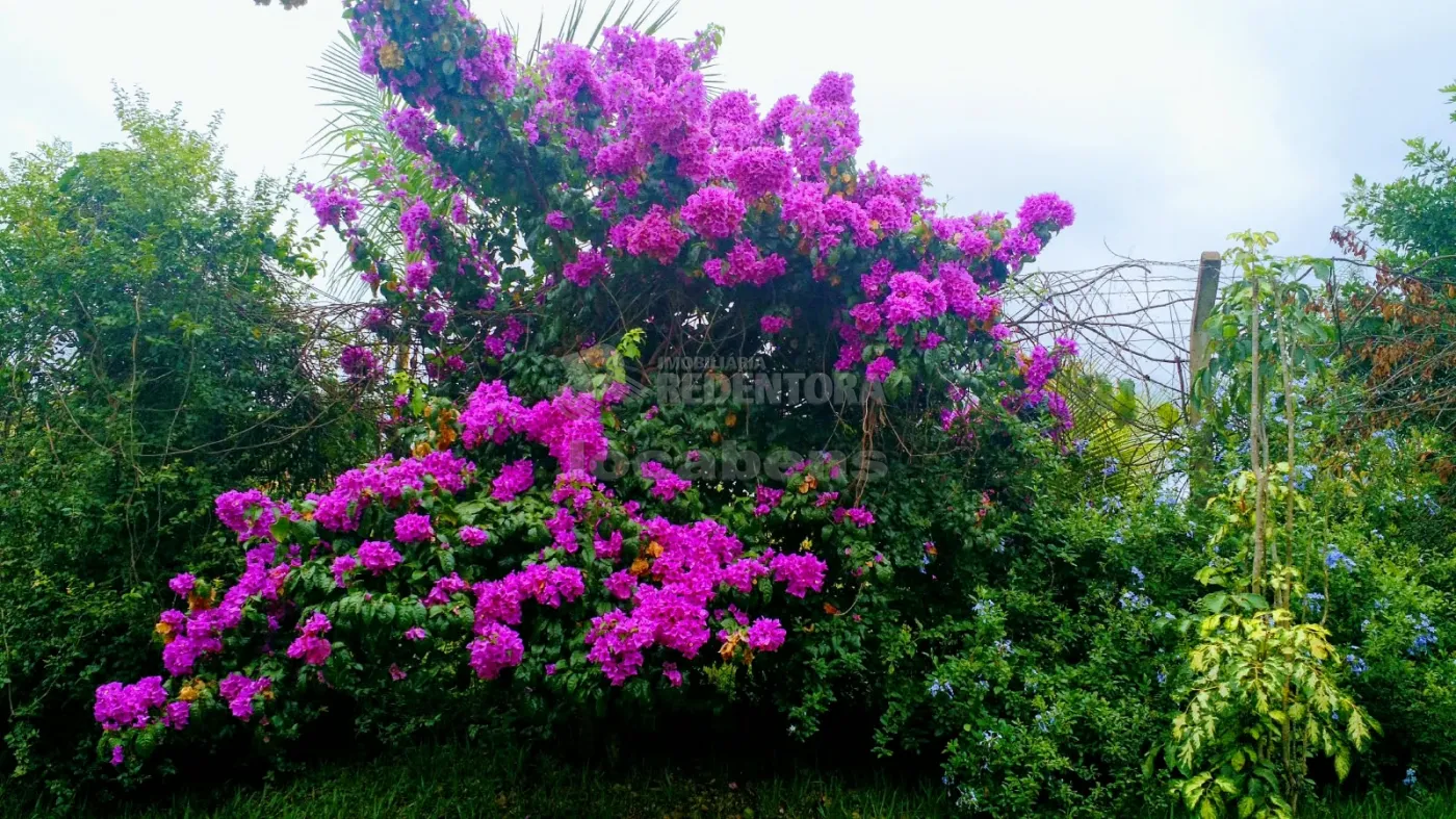 Comprar Rural / Ch&aacute;cara em S&atilde;o Jos&eacute; do Rio Preto R$ 900.000,00 - Foto 24