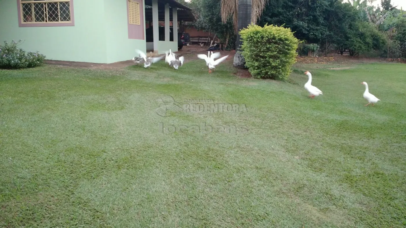 Comprar Rural / Ch&aacute;cara em S&atilde;o Jos&eacute; do Rio Preto R$ 900.000,00 - Foto 25
