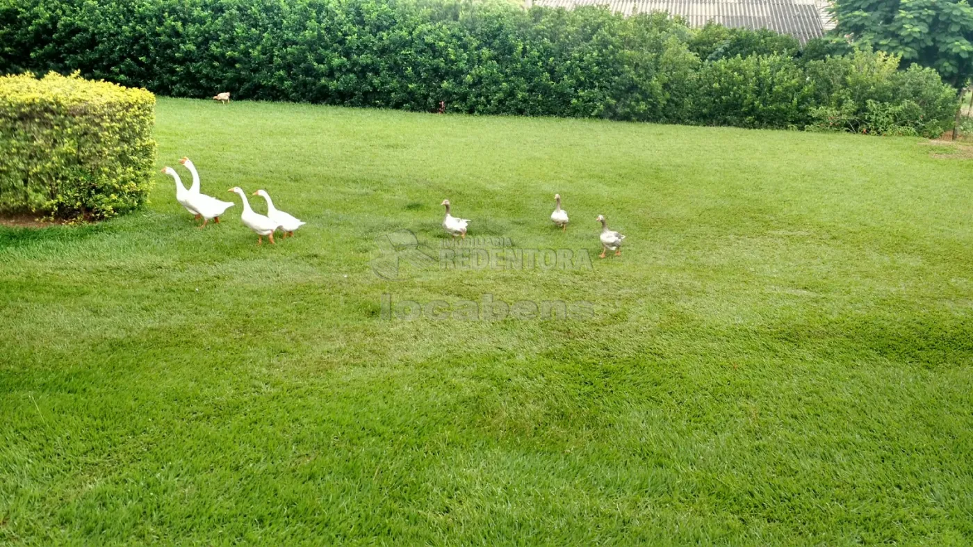 Comprar Rural / Ch&aacute;cara em S&atilde;o Jos&eacute; do Rio Preto R$ 900.000,00 - Foto 27
