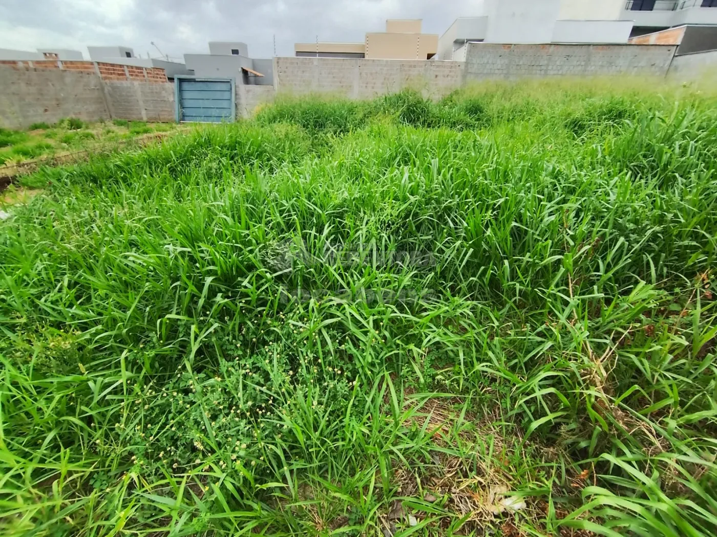 Comprar Terreno / Padr&atilde;o em S&atilde;o Jos&eacute; do Rio Preto R$ 143.000,00 - Foto 9