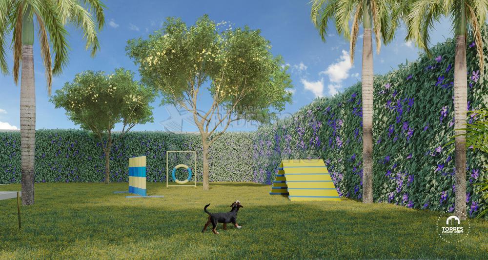 Comprar Apartamento / Padr&atilde;o em S&atilde;o Jos&eacute; do Rio Preto R$ 350.000,00 - Foto 27