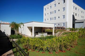 Alugar Apartamento / Padr&atilde;o em S&atilde;o Jos&eacute; do Rio Preto R$ 790,00 - Foto 12