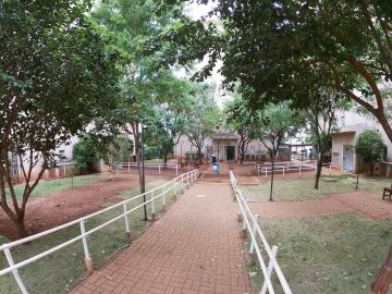 Comprar Apartamento / Padr&atilde;o em S&atilde;o Jos&eacute; do Rio Preto R$ 250.000,00 - Foto 33