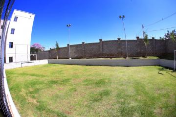 Alugar Apartamento / Padr&atilde;o em S&atilde;o Jos&eacute; do Rio Preto R$ 1.100,00 - Foto 12