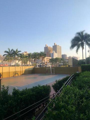 Alugar Apartamento / Padr&atilde;o em S&atilde;o Jos&eacute; do Rio Preto R$ 421,36 - Foto 15