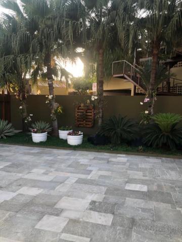 Alugar Apartamento / Padr&atilde;o em S&atilde;o Jos&eacute; do Rio Preto R$ 421,36 - Foto 17