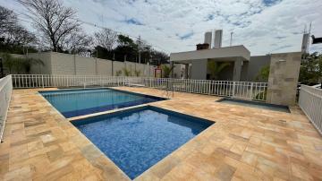 Alugar Apartamento / Padr&atilde;o em S&atilde;o Jos&eacute; do Rio Preto R$ 900,00 - Foto 29