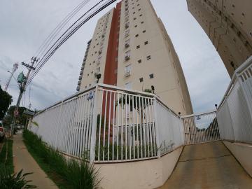 Alugar Apartamento / Padr&atilde;o em S&atilde;o Jos&eacute; do Rio Preto R$ 2.600,00 - Foto 20