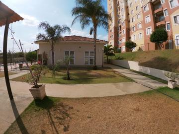 Alugar Apartamento / Padr&atilde;o em S&atilde;o Jos&eacute; do Rio Preto R$ 1.200,00 - Foto 21