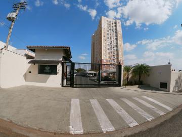 Alugar Apartamento / Padr&atilde;o em S&atilde;o Jos&eacute; do Rio Preto R$ 1.200,00 - Foto 11