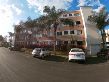 Alugar Apartamento / Padr&atilde;o em S&atilde;o Jos&eacute; do Rio Preto R$ 800,00 - Foto 25