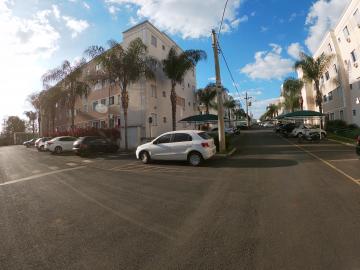 Alugar Apartamento / Padr&atilde;o em S&atilde;o Jos&eacute; do Rio Preto R$ 800,00 - Foto 15