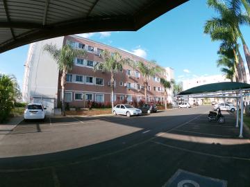 Alugar Apartamento / Padr&atilde;o em S&atilde;o Jos&eacute; do Rio Preto R$ 800,00 - Foto 22