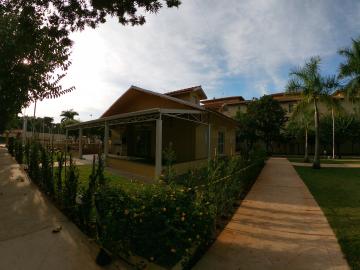 Alugar Apartamento / Padr&atilde;o em S&atilde;o Jos&eacute; do Rio Preto R$ 800,00 - Foto 21